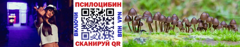 Галлюциногенные грибы Psilocybine cubensis  купить наркотики цена  Партизанск 